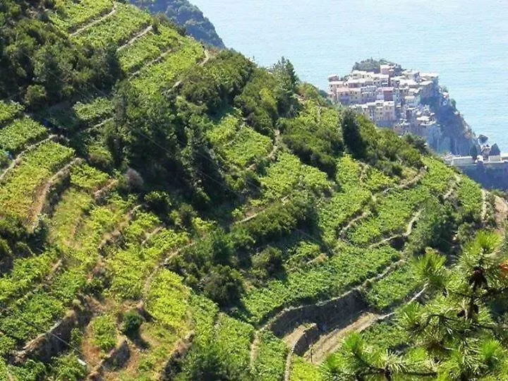 Liguria Home Ameglia 0*,