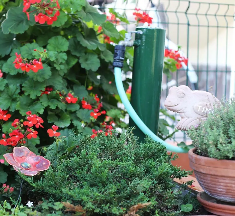 Liguria Home Ameglia Holiday home