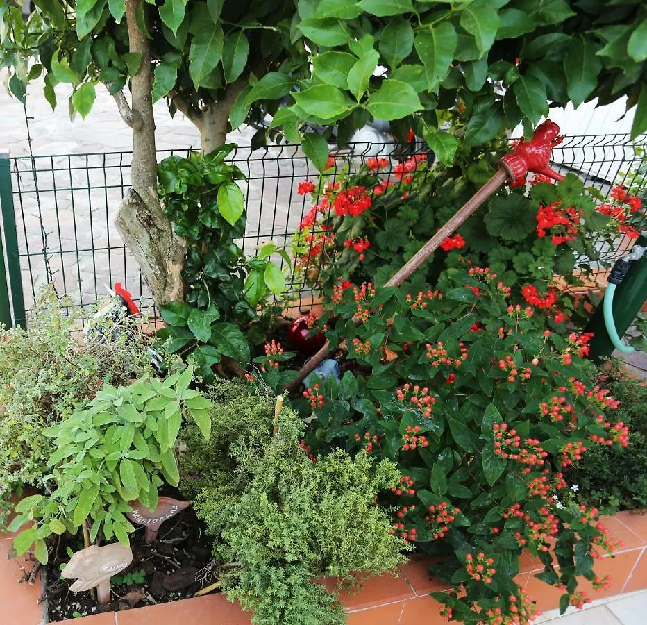 Liguria Home Ameglia Holiday home